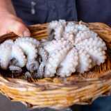 ...addirittura un polpo che offre crudo per un assaggio ai passanti
